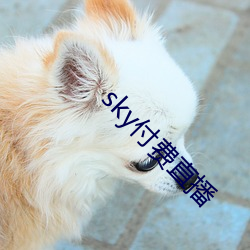 skyֱ