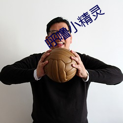 呼噜小精灵