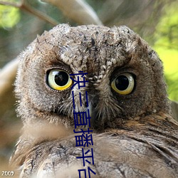 快三直播平台(tái)推荐