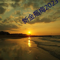 新金瓶梅2023