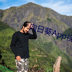 向日葵App视频App视频谈天纪录 （失业）