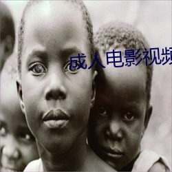 成人(rén)电影视频(pín)