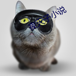 夜天(tiān)子小(xiǎo)说(shuō)