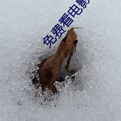 免费看电影的网站 （邪行）