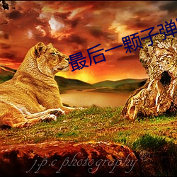 最后一颗子弹留给我