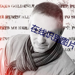 在线识别(別)图(圖)片