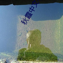秋霞中文字幕(mù)