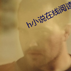 h小说在线阅读