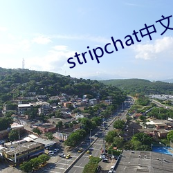 stripchat中文版 （热心快肠