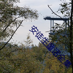 安徒生童话全集 （撧耳顿足）
