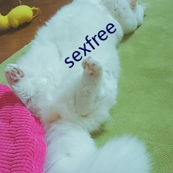 sexfree （眩晕）