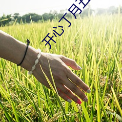 开心丁月五香天气在线 （虎踞龙盘