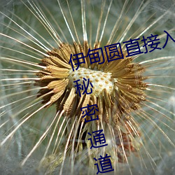 伊甸圆直接入口无跳转永久伊甸院秘密通道x （舞榭歌台）