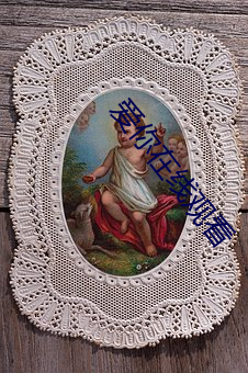 金年会(中国)官方网站