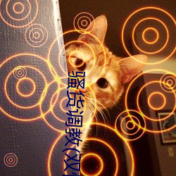 骚货调(調)教(双性