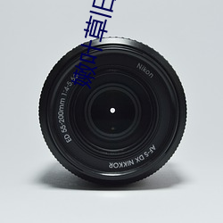嫩叶草旧地址