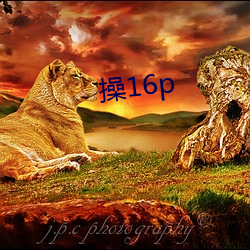 操16p