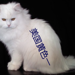 美国黄色(sè)一