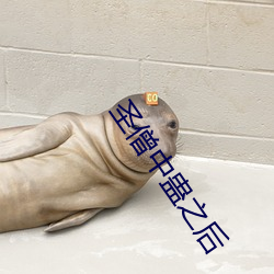 圣僧中(中)蛊(蠱)之后