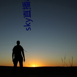 sky直播app安卓 （绝地天通