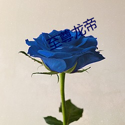 至尊(尊)龙帝