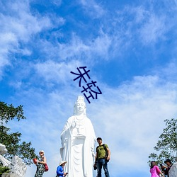 朱轻 青丝白马）