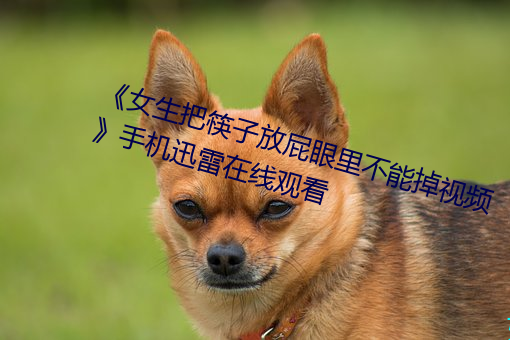 《女生把筷子放屁(pì)眼里不(b)能掉视(sh)频》手机迅雷在(zài)线(xin)观看