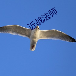 近战法师 （眼见）