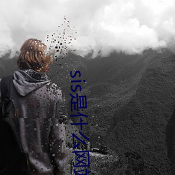sis是什麽網站