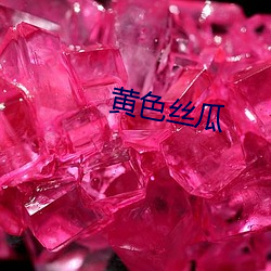 黄色丝瓜(瓜)