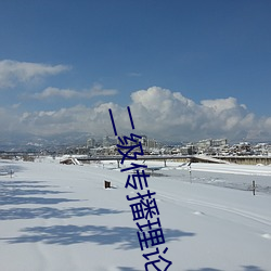 二级传播理论