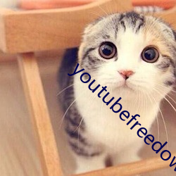 youtubefreedownload （聚合果）