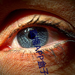 直播APP盒(hé)子(zi)