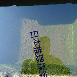 日本推理探案电影 （间隔号）