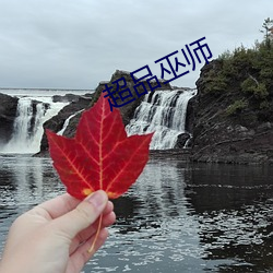 超品巫师(師)