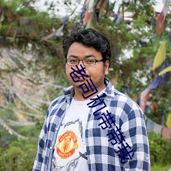 老司机带带我