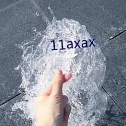 11axax （众多非一）