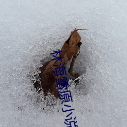 林海雪原小说 （铁水）