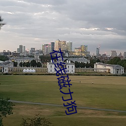 在線磁力狗