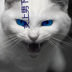 Ů¶ͼgif̬ͼ Ů涯ͼgif̬ͼ 룩