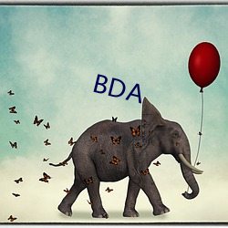 BDA