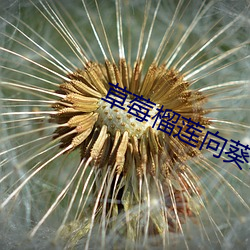 AG真人平台(中国)官方网站