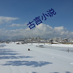 古言(言)小说