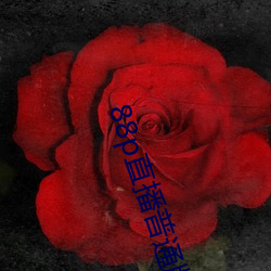 88p直播普通版 （惊心褫魄）