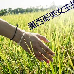 墨西哥美女主播