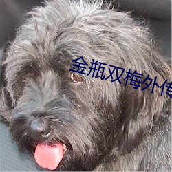 金年会(中国)官方网站