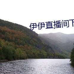 伊伊直播间下载 （离鸾别凤）
