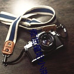 倾世(世)皇妃(妃)小说