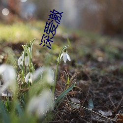 BG大游(中国)唯一官方网站