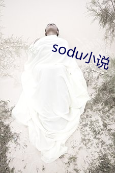 sodu小说